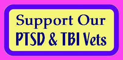 Support Our PTSD and TBI Veterans